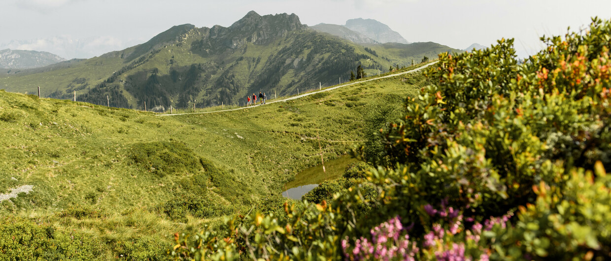 Wandern in Dorfgastein