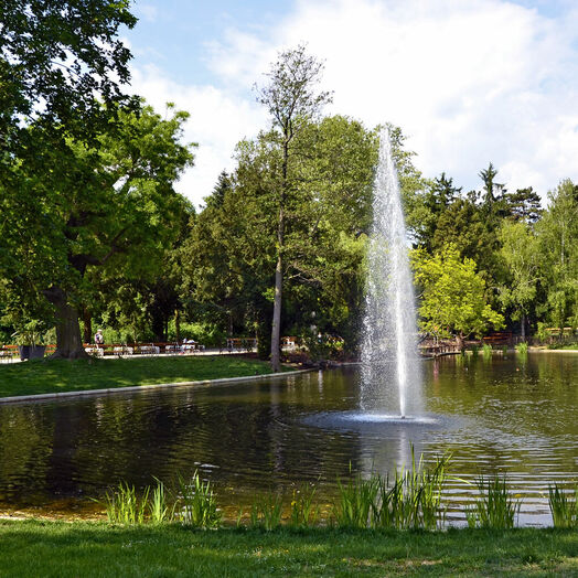 Türkenschanzpark in Währing