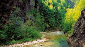 Große Schlucht im Reichraminger Hintergebirge