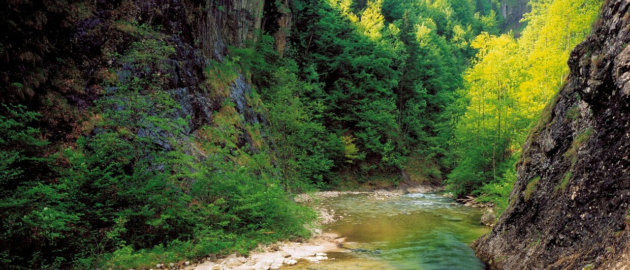 Große Schlucht im Reichraminger Hintergebirge