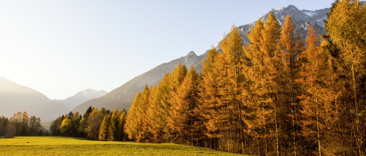 Im Herbst zu goldenen Lärchen wandern