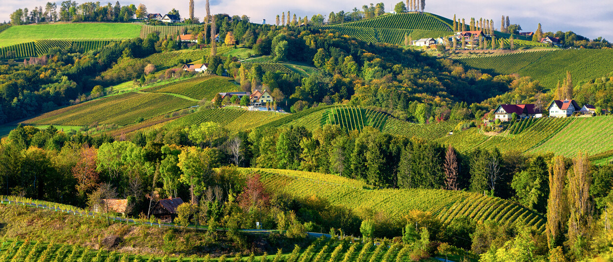 Südsteirische Weinstrasse