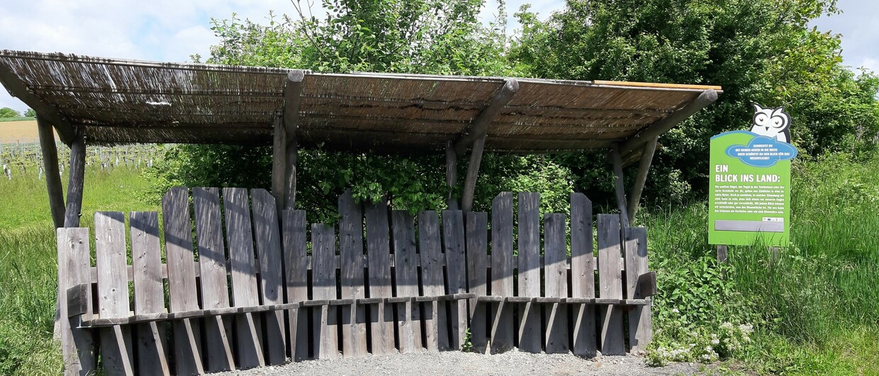 Naturpark Rosalia-Kogelberg - Station am barrierefreien Eulenweg