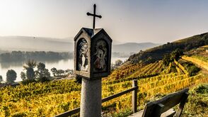 Herbst in der Wachau an der Donau