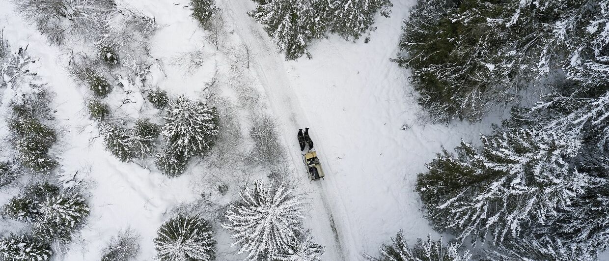 Im Pferdeschlitten durchs SalzburgerLand