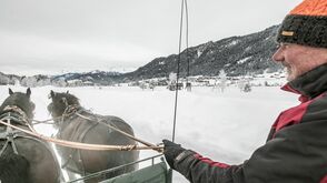 Mit dem Pferdeschlitten durch die malerische Landschaft am Weissensee