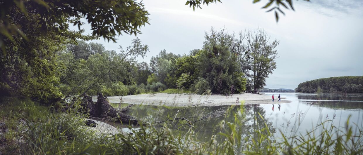 Nationalpark Donau-Auen