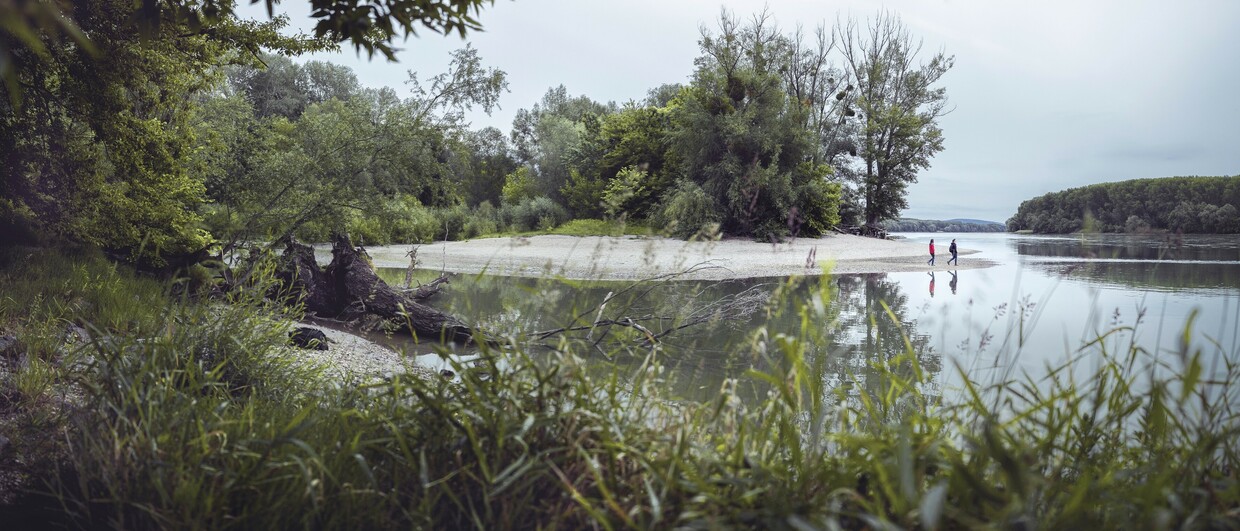 Nationalpark Donau-Auen