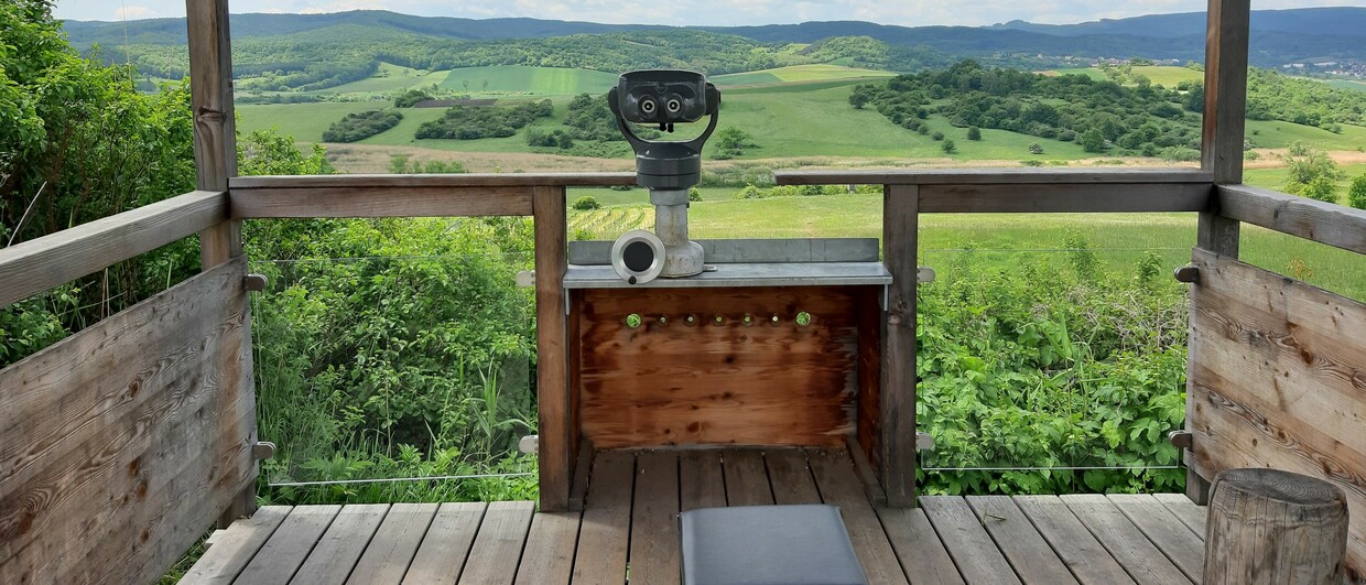 Naturpark Rosalia-Kogelberg - Fernblick am barrierefreien Eulenweg