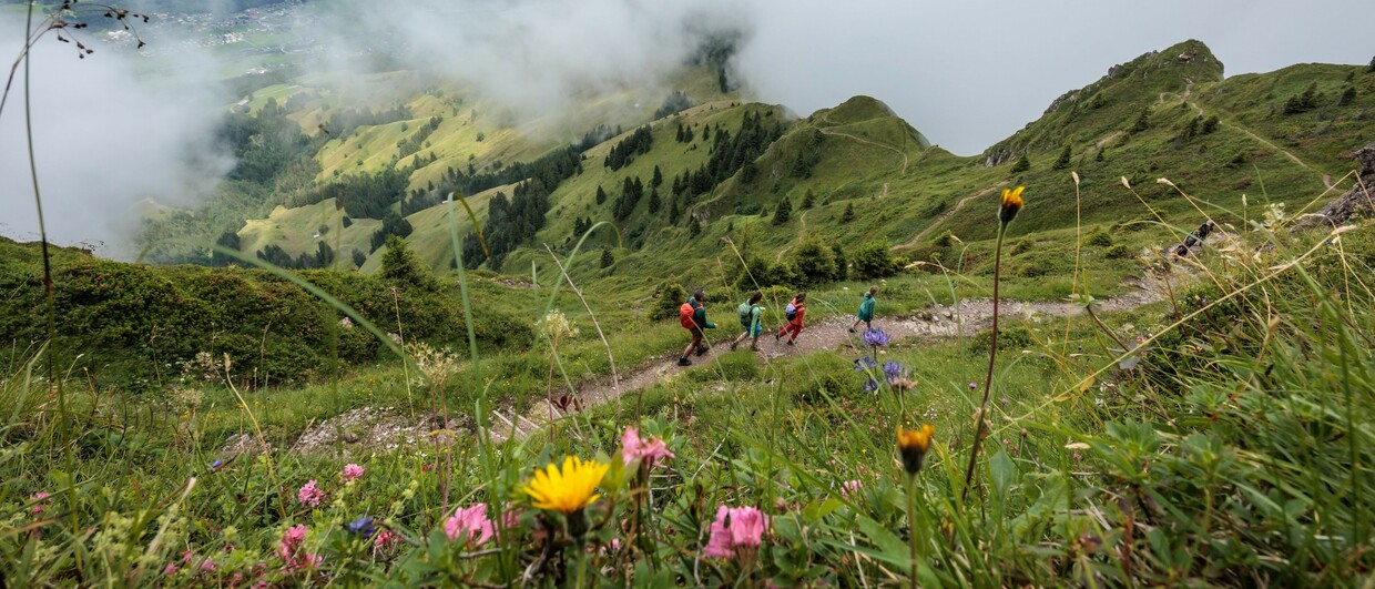 KAT Walk Kitzbüheler Alpen 