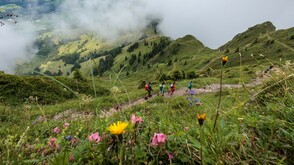 KAT Walk Kitzbüheler Alpen 