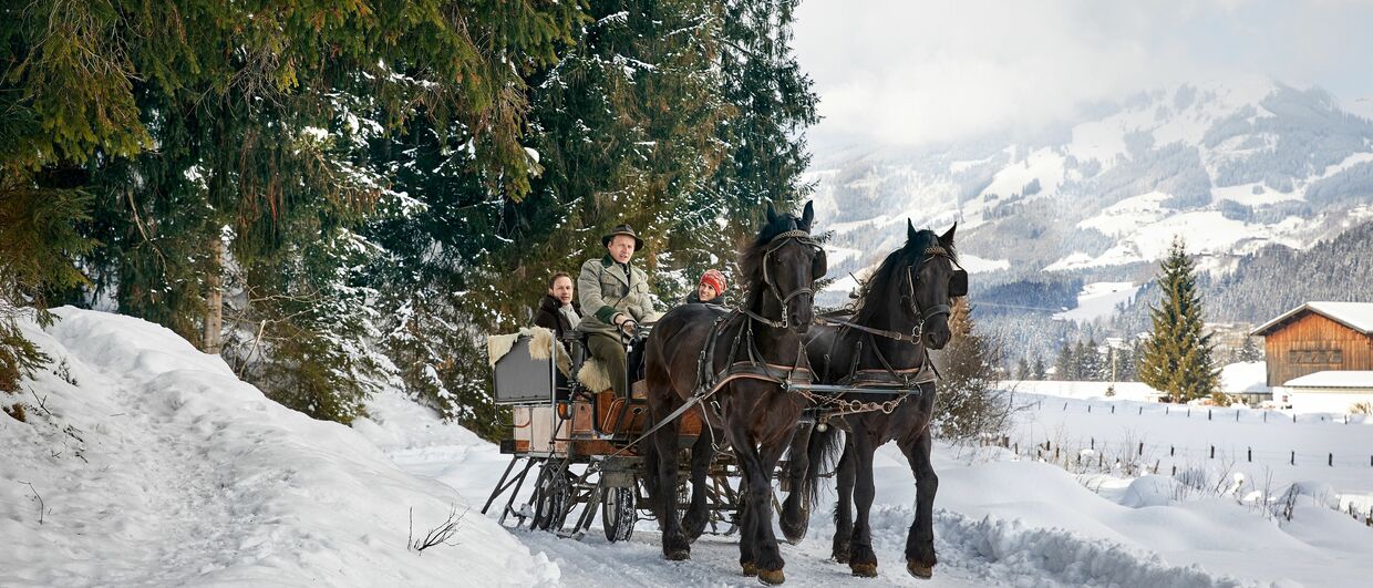 Im Pferdeschlitten durchs SalzburgerLand