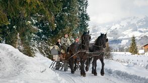 Im Pferdeschlitten durchs SalzburgerLand