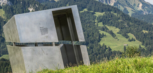 Georunde Rindberg in Sibratsgfaell im Bregenzerwald
