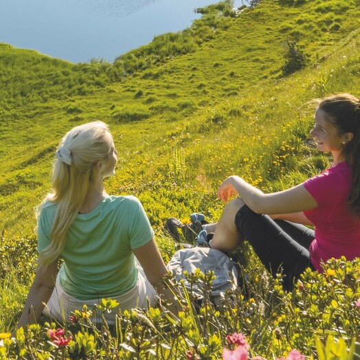 Na szlaku w Karnickich Alpach nad Zollnersee