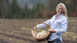 Knoblauch Holzer