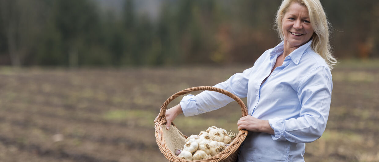 Knoblauch Holzer