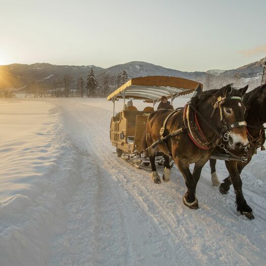 Pferdekutschenfahrten in Gosau am Fuße des Dachsteins