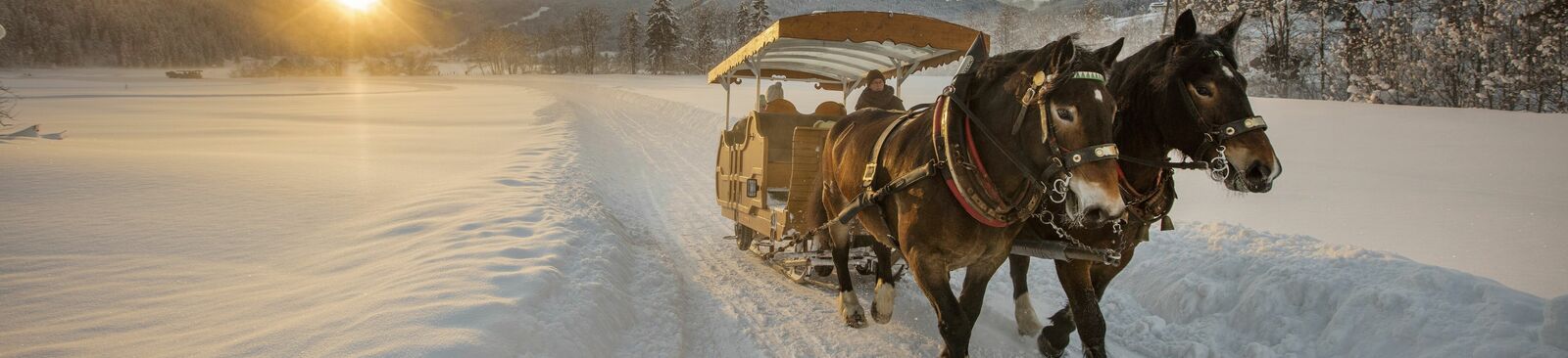 Pferdekutschenfahrten in Gosau am Fuße des Dachsteins