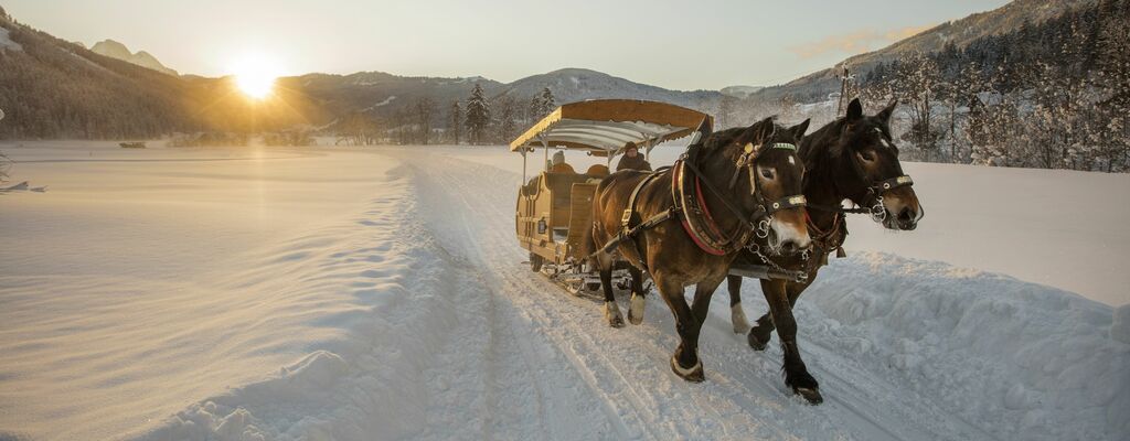 Pferdekutschenfahrten in Gosau am Fuße des Dachsteins