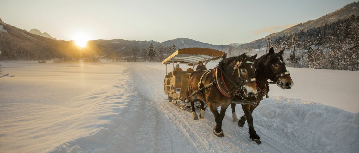 Pferdekutschenfahrten in Gosau am Fuße des Dachsteins