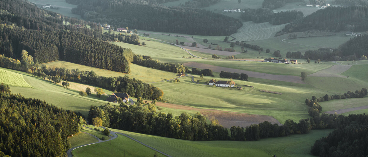 Mühlviertler Granitland