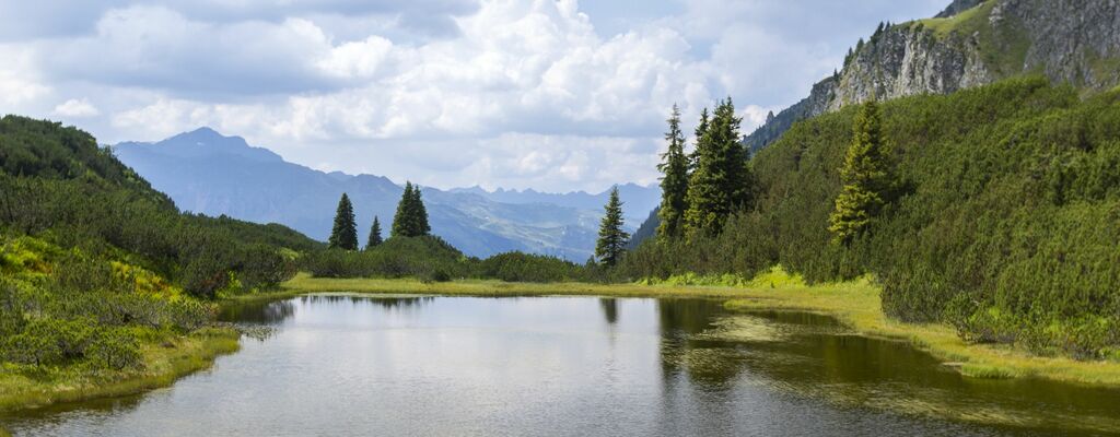 Wanderung am Wiegensee
