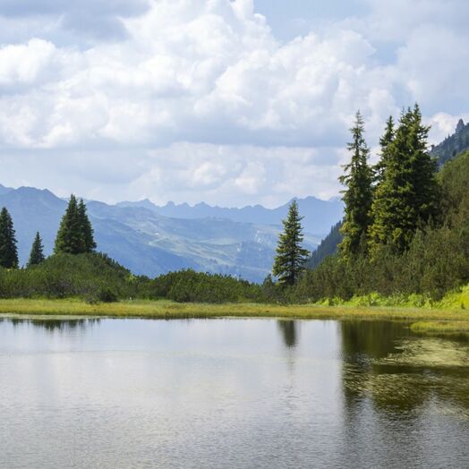 Wanderung am Wiegensee