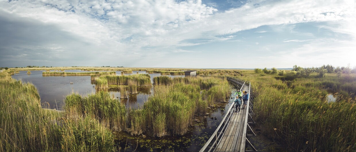 Nationalpark Neusiedler See – Seewinkel