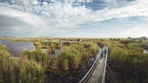 Nationalpark Neusiedler See – Seewinkel