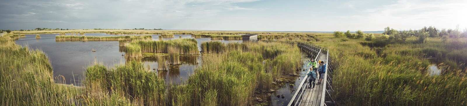 Nationalpark Neusiedler See – Seewinkel