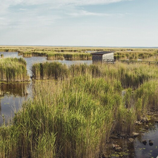 Nationalpark Neusiedler See – Seewinkel