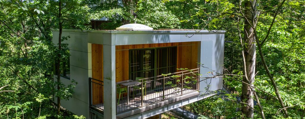 Zimmer mit Aussicht: Baumhaus Lodge Schrems