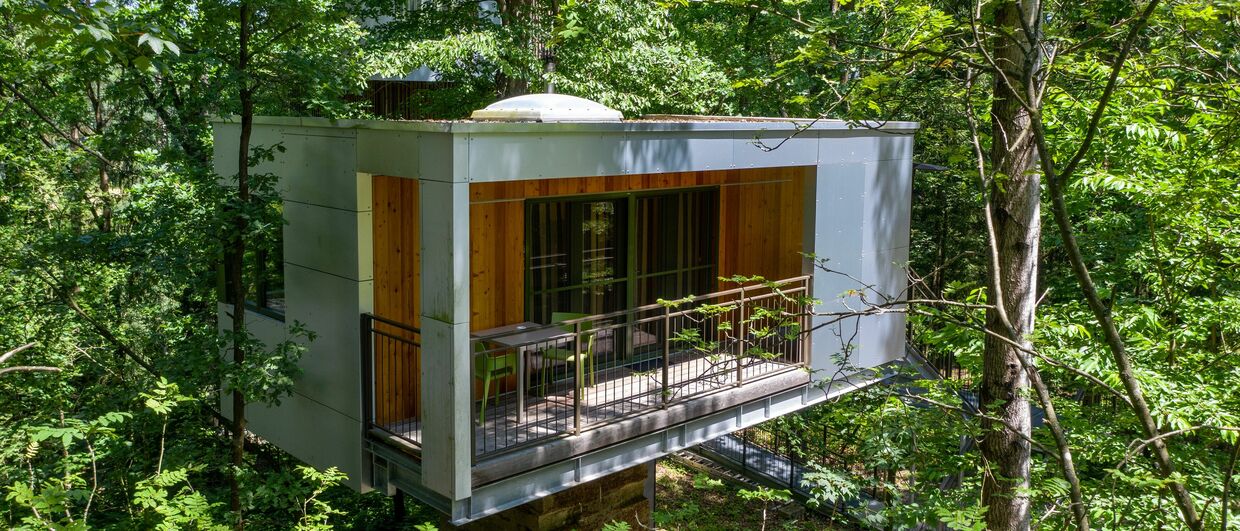 Zimmer mit Aussicht: Baumhaus Lodge Schrems