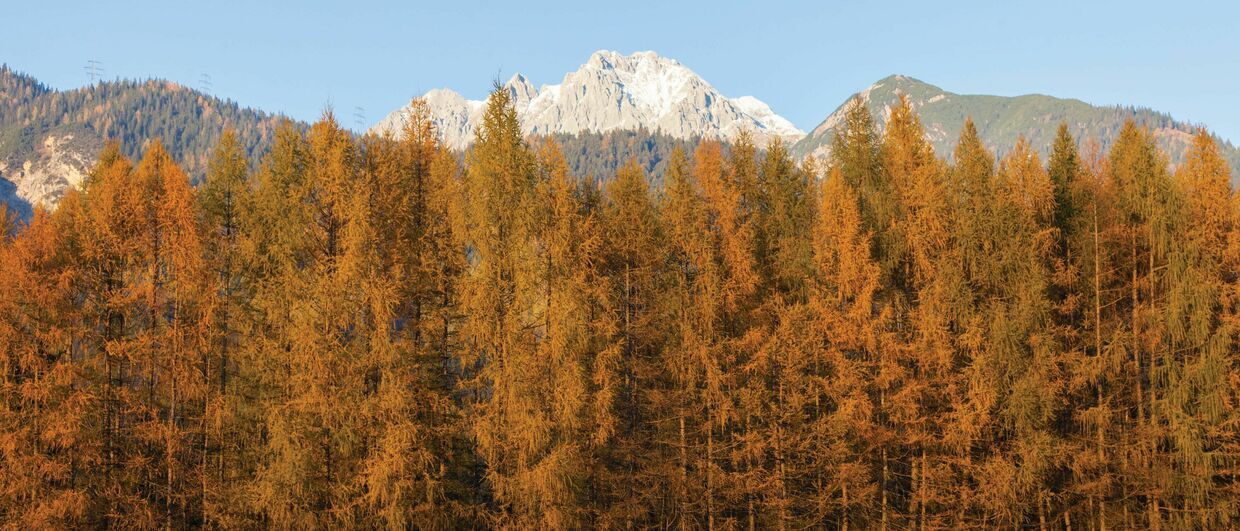 automne dans les Alpes à Mieming