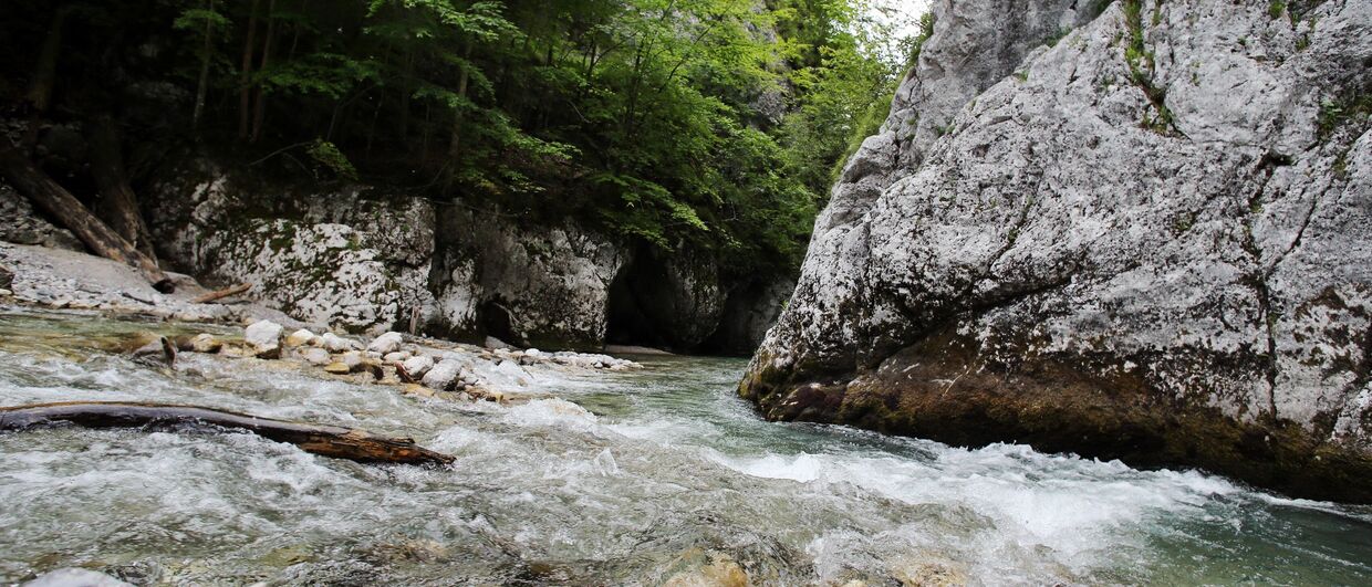 Mostviertel: Wandern an der Via Aqua zum Trefflingfall