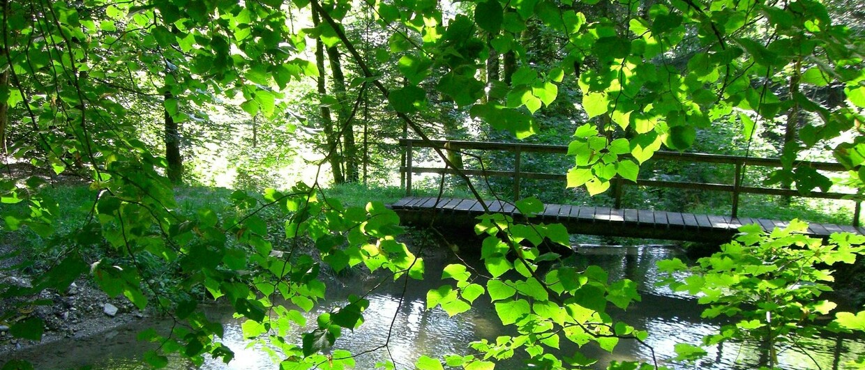 St. Gerold Weg der Stille