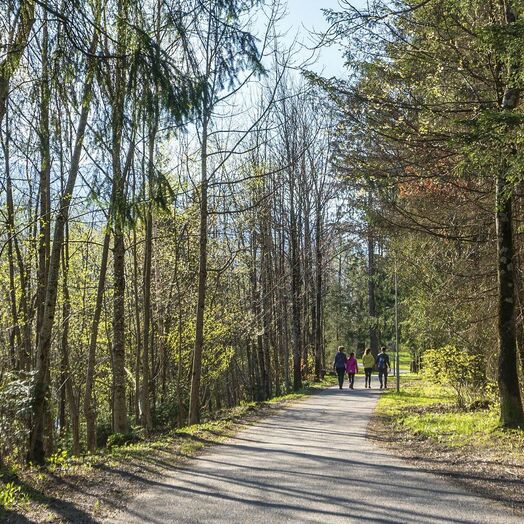 An der Ill im Montafon