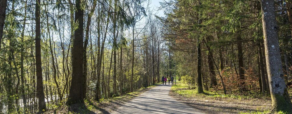 An der Ill im Montafon