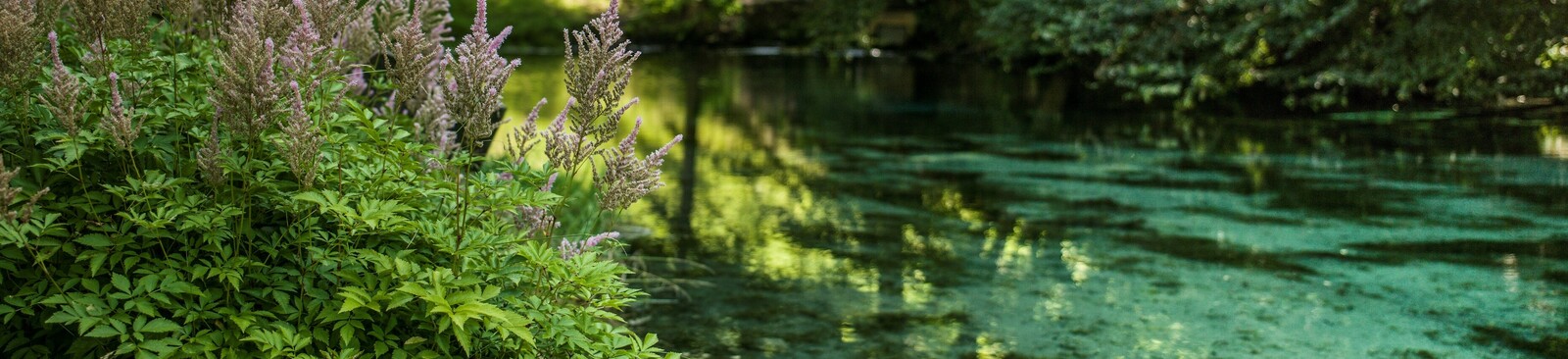  Die "Blaue Quelle" in Erl im Kufsteinerland in Tirol
