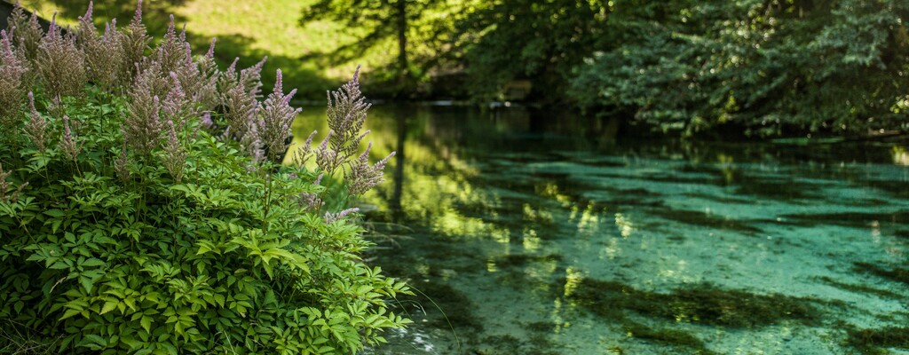  Die "Blaue Quelle" in Erl im Kufsteinerland in Tirol