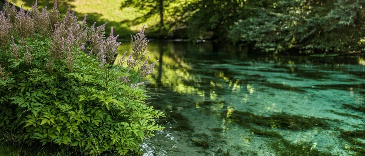  Die "Blaue Quelle" in Erl im Kufsteinerland in Tirol