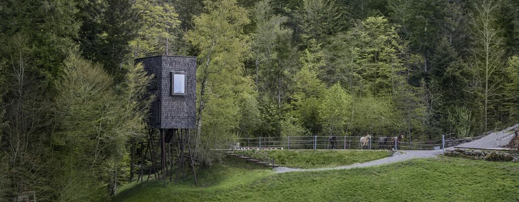 Erlebnis Baumhaus Baldauf