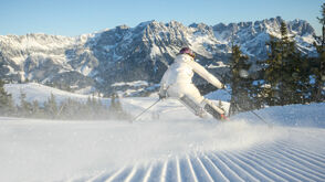 Panorama Skifahren