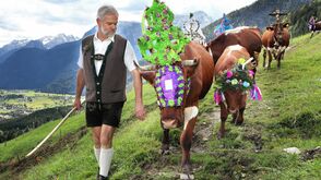 Almabtrieb von der Loferer Alm