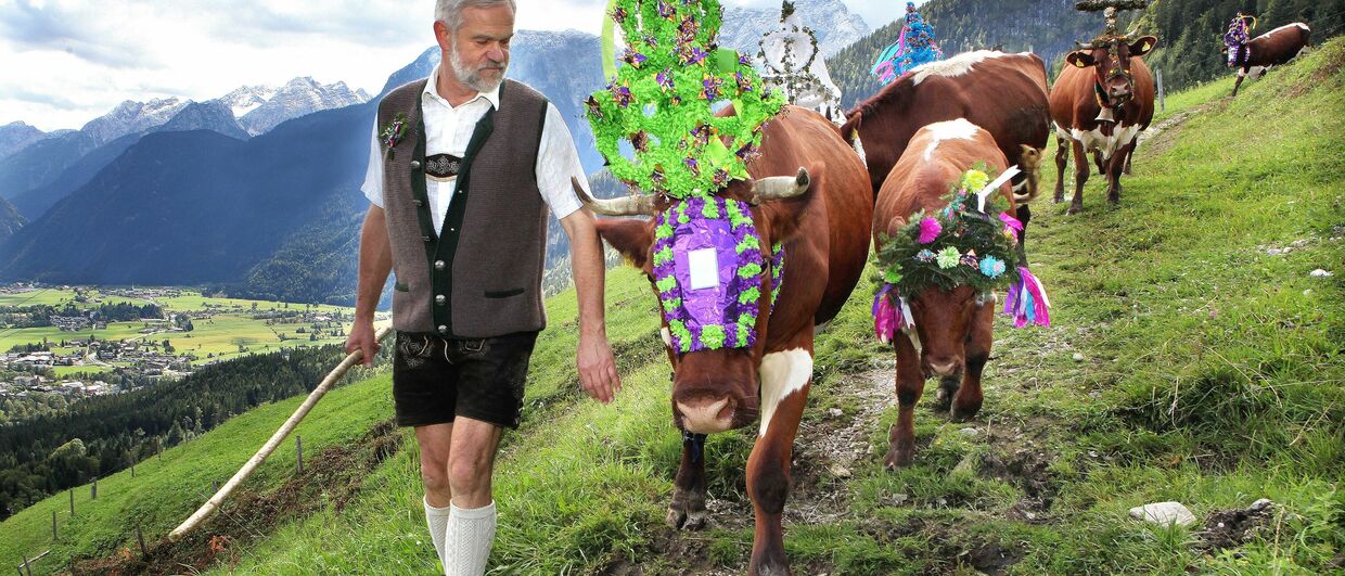 Almabtrieb von der Loferer Alm