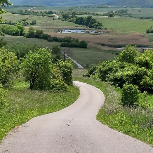 Naturpark Rosalia-Kogelberg - barrierefreier Eulenweg