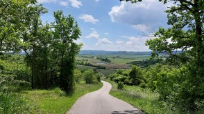 Naturpark Rosalia-Kogelberg - barrierefreier Eulenweg