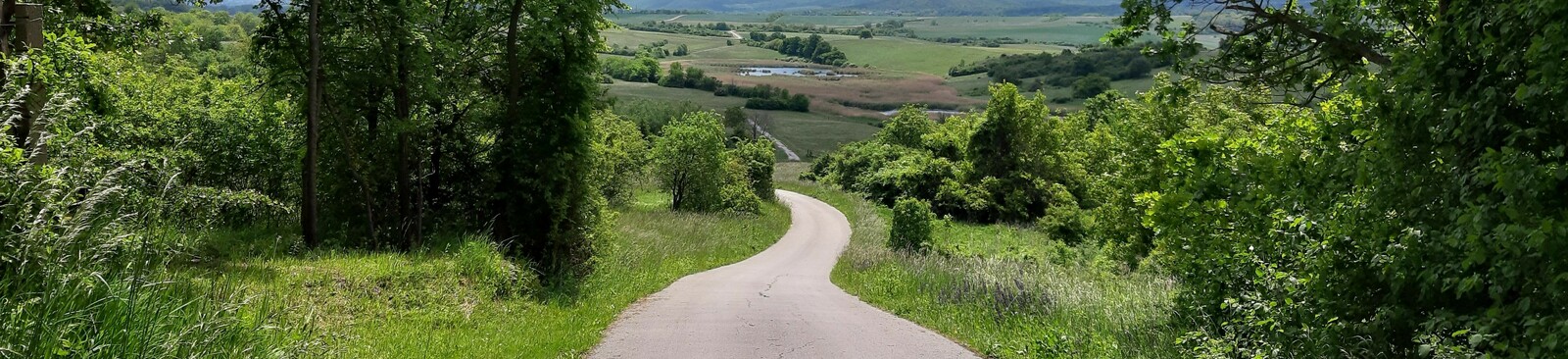Naturpark Rosalia-Kogelberg - barrierefreier Eulenweg