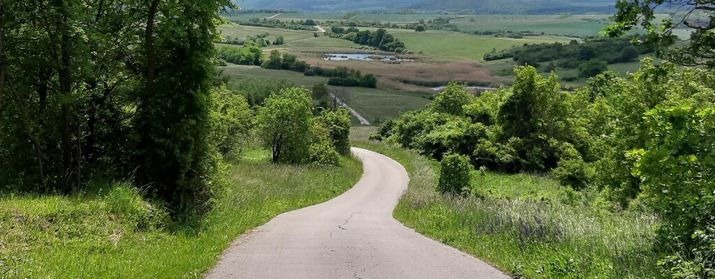 Naturpark Rosalia-Kogelberg - barrierefreier Eulenweg
